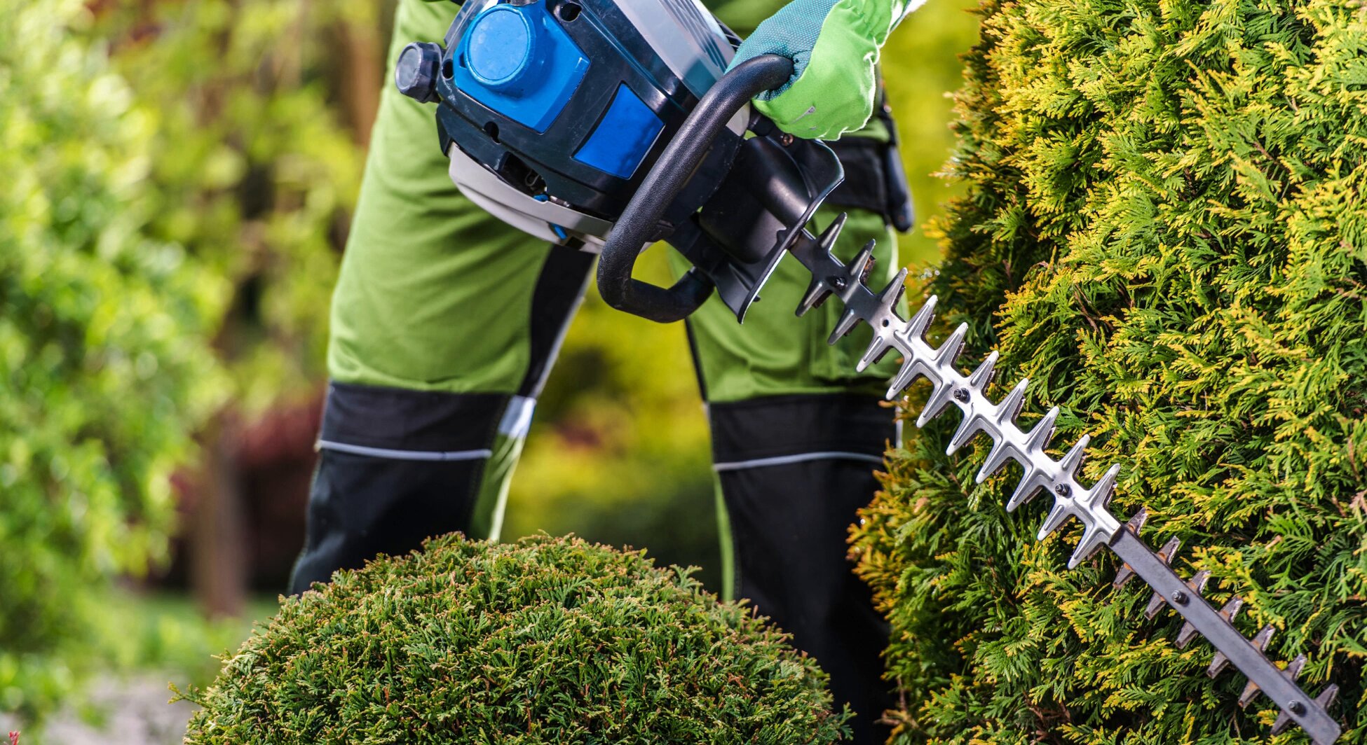 Yttre fastighetsskötsel - häckklippning